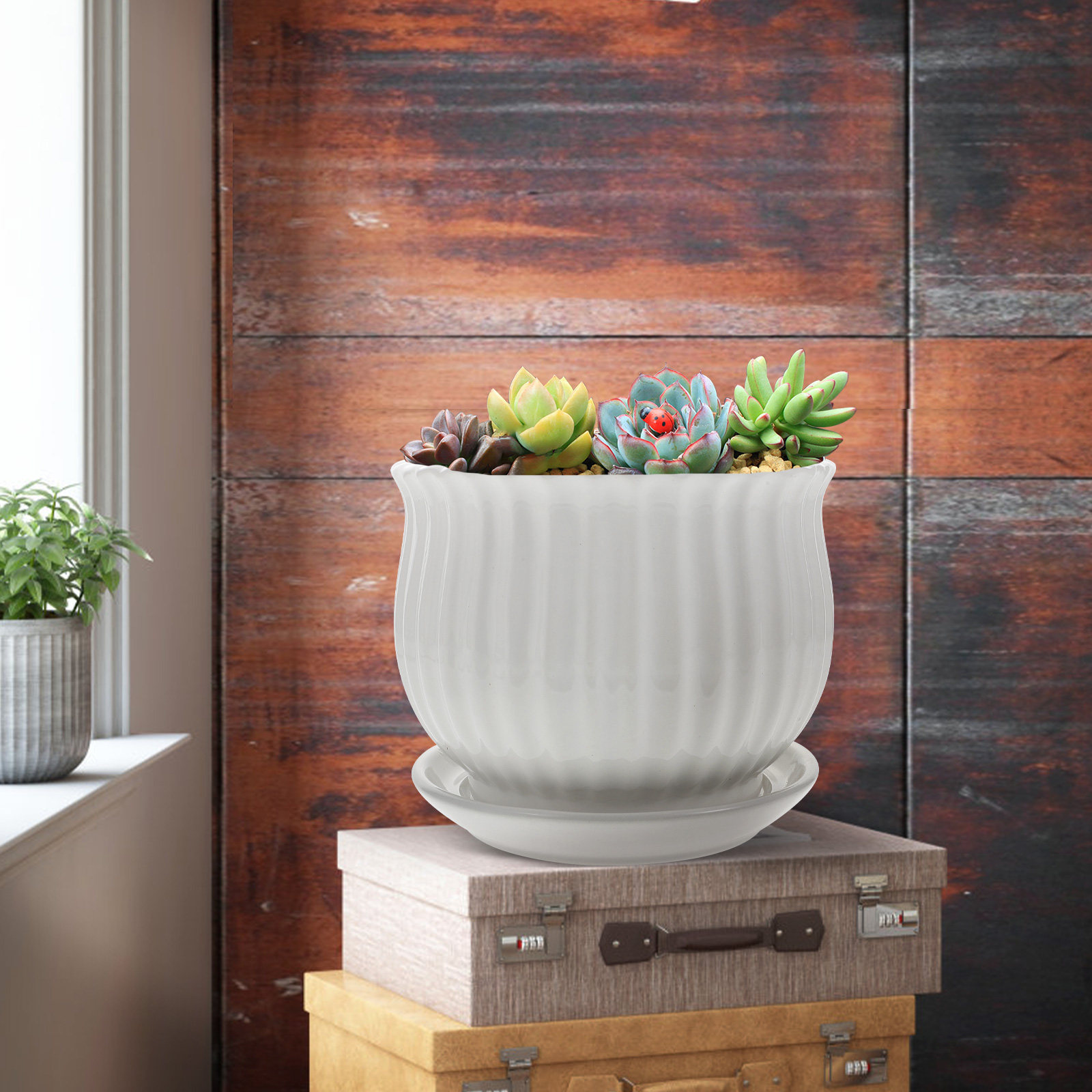 Bonsai Vertical Garden - 3Sets Ceramic Flower Pots Vertical Stripe