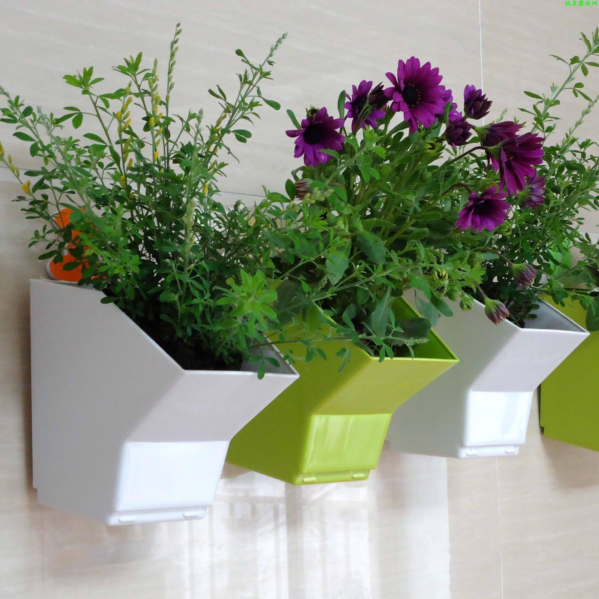 2 pcs Wall Hanging Planter Flo - Bonsai Vertical Garden review and price