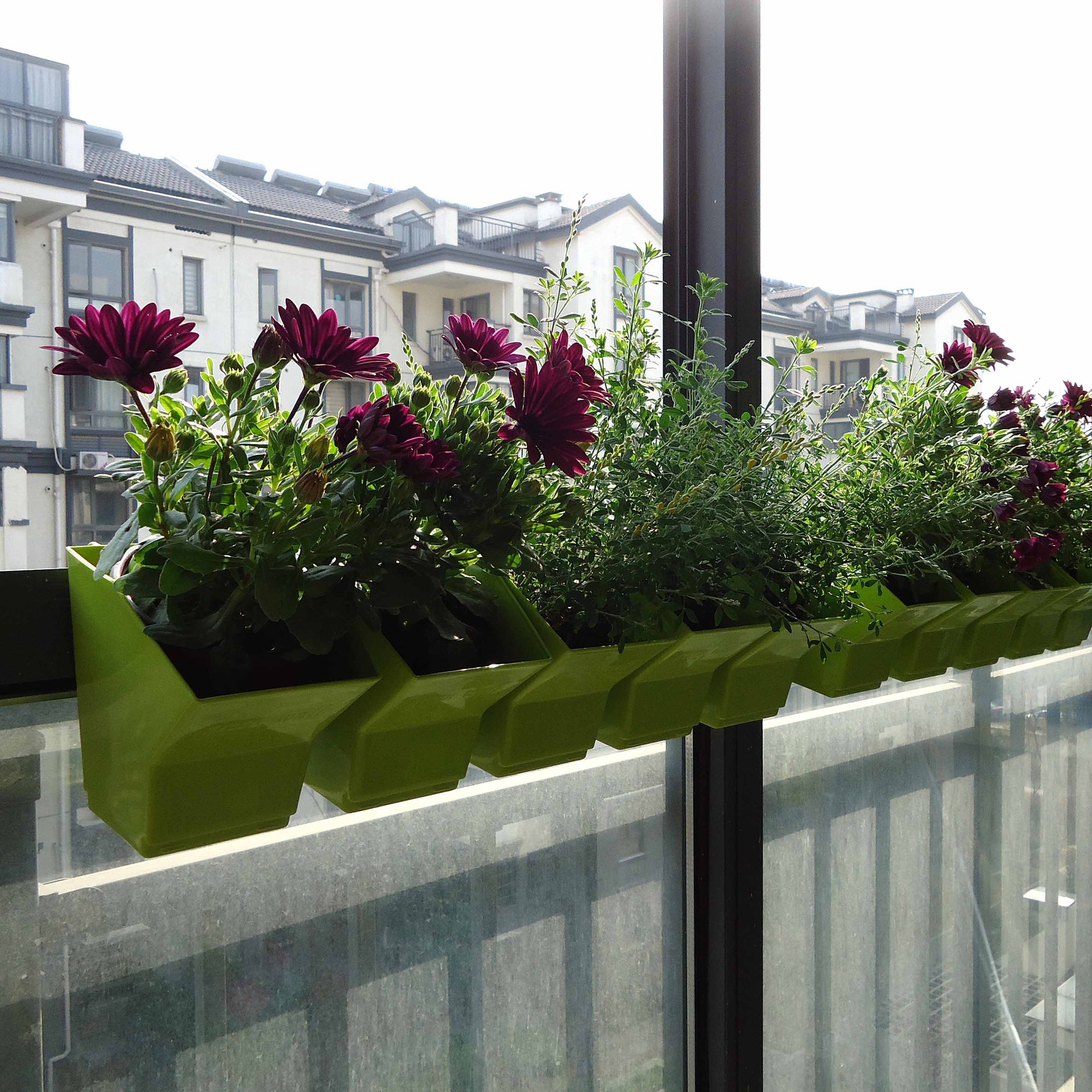 2 pcs Wall Hanging Planter Flo - Bonsai Vertical Garden review and price
