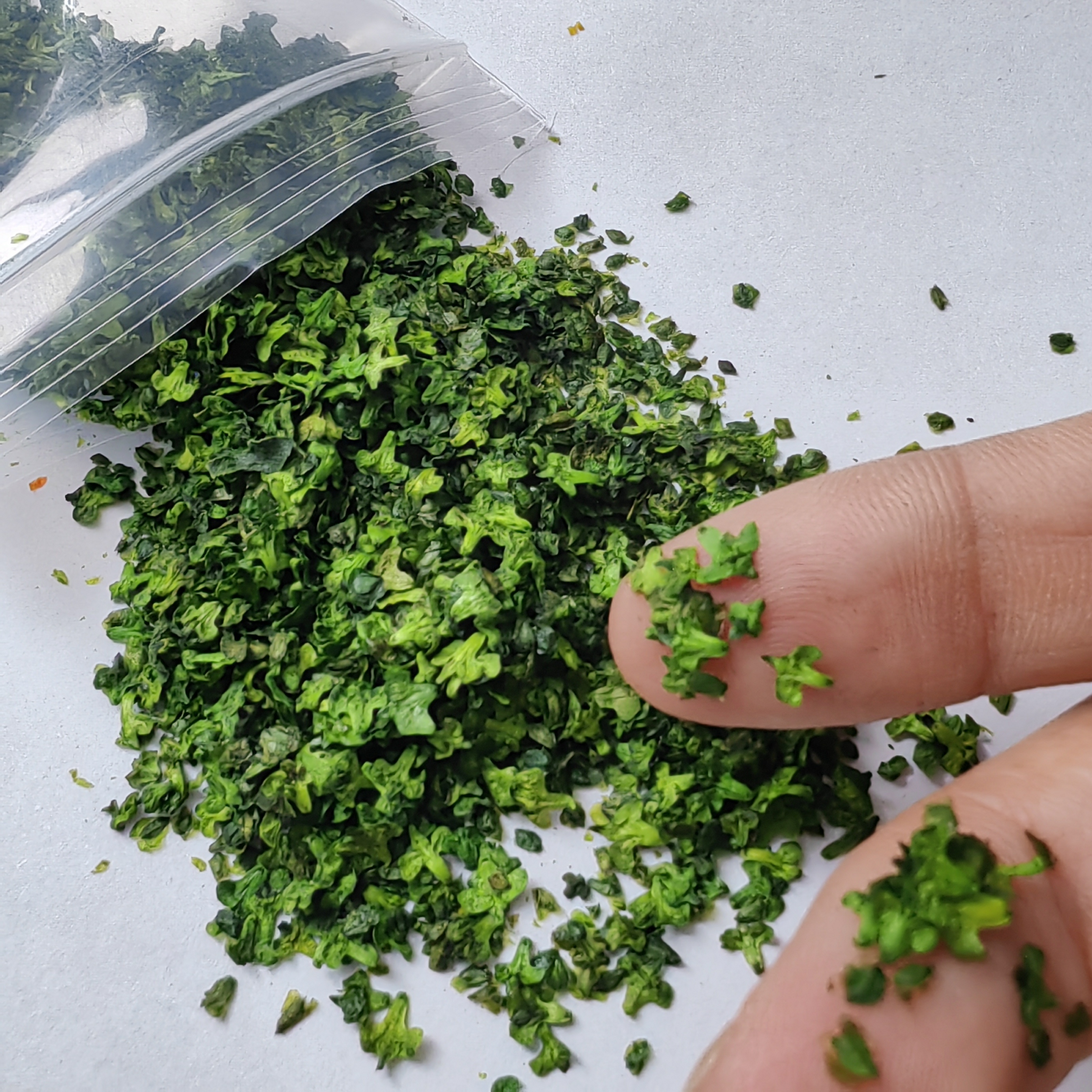 33ML Miniature Simulation Fall - Bonsai Garden Layout review and price