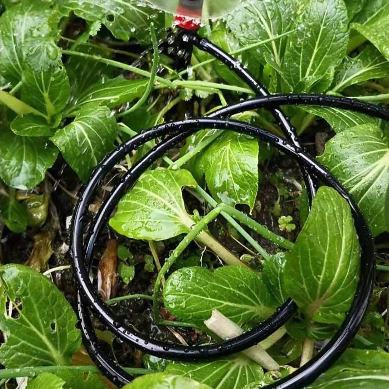Garden Watering 4/7mm Hose PVC - Bonsai Garden Youtube review and price
