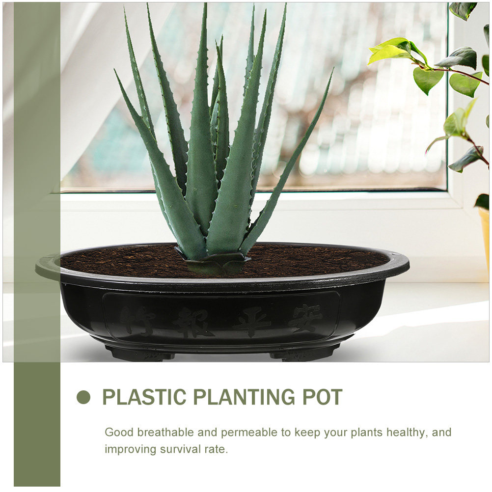 4Pcs Oval Bonsai Flowerpot Hig - Bonsai Vertical Garden review and price