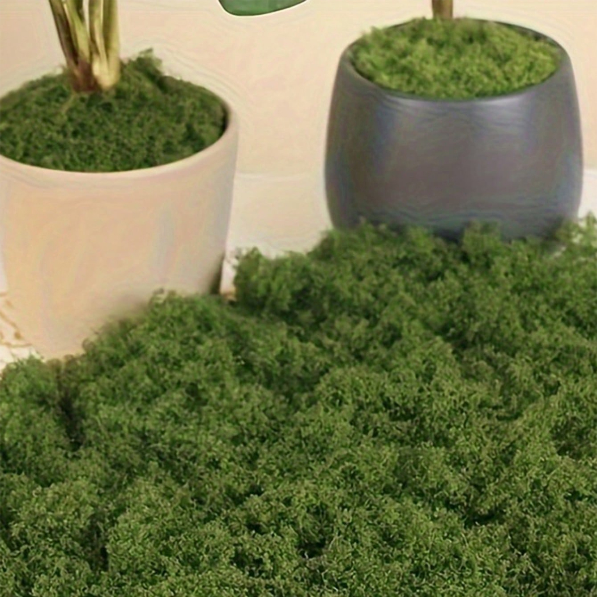 250g Artificial Moss Decoratio - Bonsai Garden Layout review and price