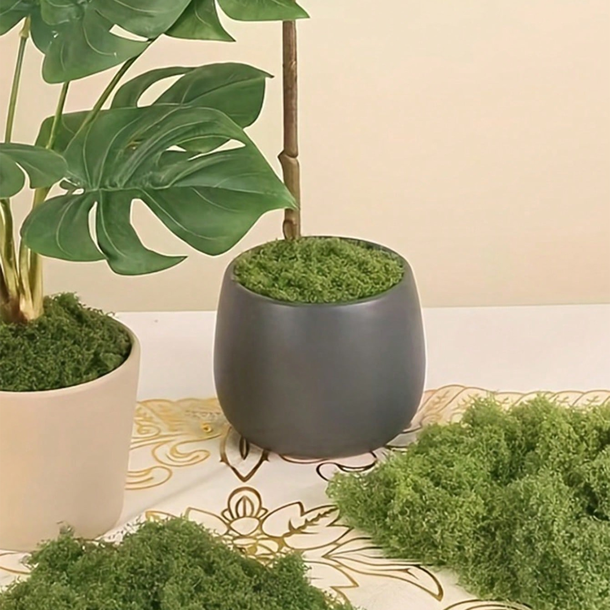 250g Artificial Moss Decoratio - Bonsai Garden Layout review and price