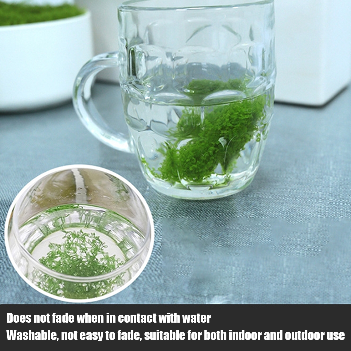 250g Artificial Moss Decoratio - Bonsai Garden Layout review and price