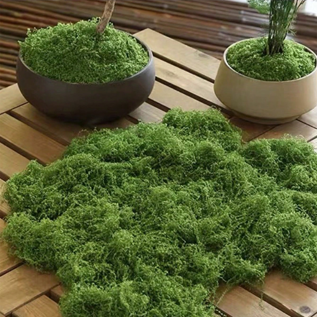 250g Artificial Moss Decoratio - Bonsai Garden Layout review and price