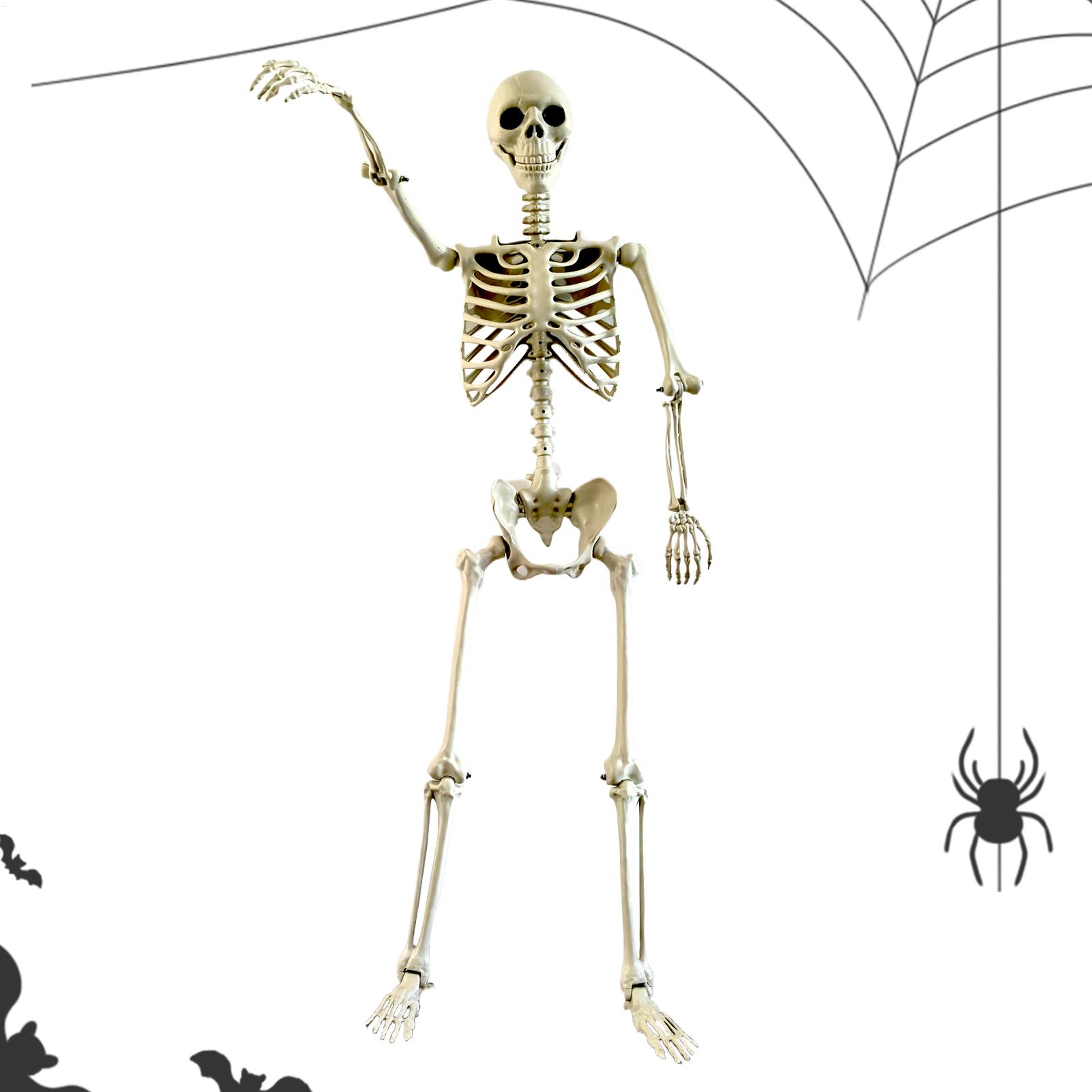 Halloween Outdoor Skeletons Re - Bonsai Garden Ideas review and price