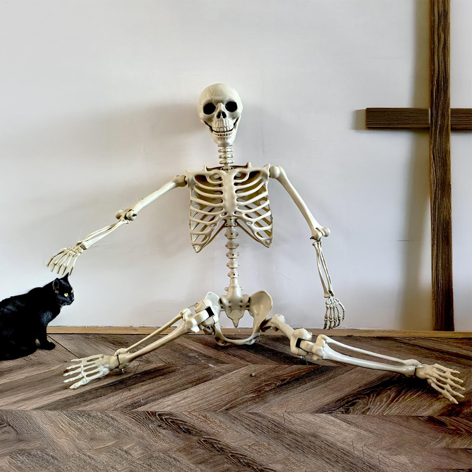 Halloween Outdoor Skeletons Re - Bonsai Garden Ideas review and price