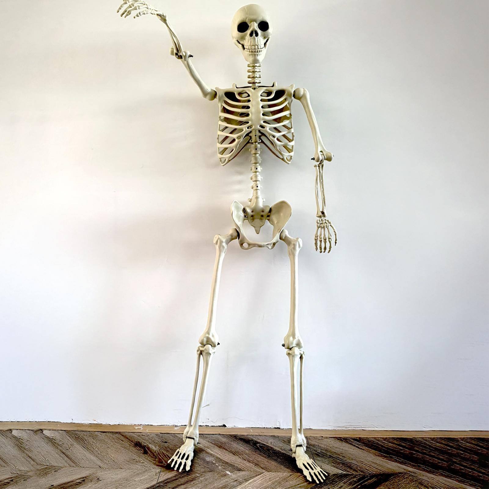 Halloween Outdoor Skeletons Re - Bonsai Garden Ideas review and price