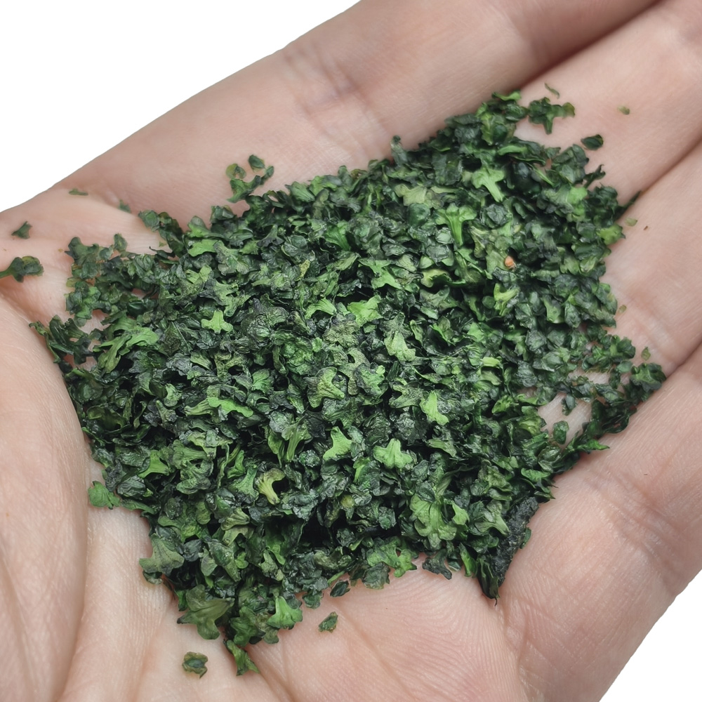 56ML Miniature Falling Leaves  - Bonsai Garden Layout review and price