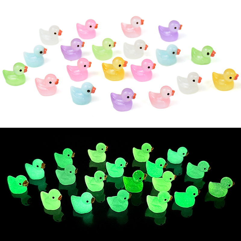 10/20pcs Luminous Mini Colorfu - Bonsai Garden Ideas review and price