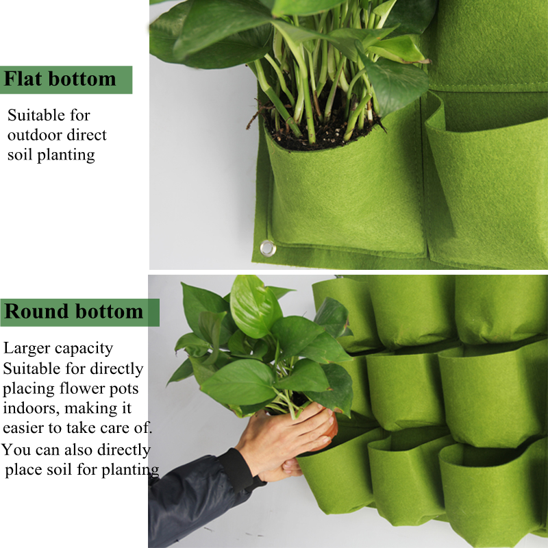 Green Wall Hanging Planting Ba - Bonsai Vertical Garden review and price