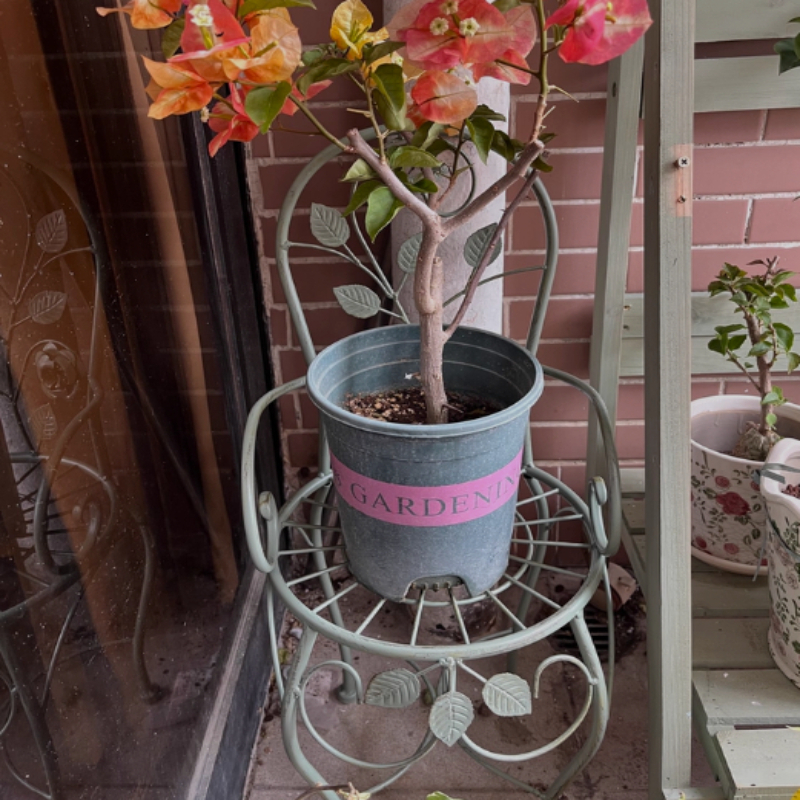 Iron Rose Flower Stand Stool V - Bonsai Vertical Garden review and price