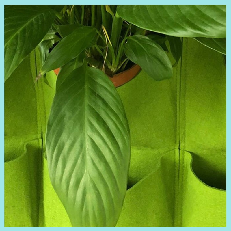 36 Pockets Vertical Wall-mount - Bonsai Vertical Garden review and price