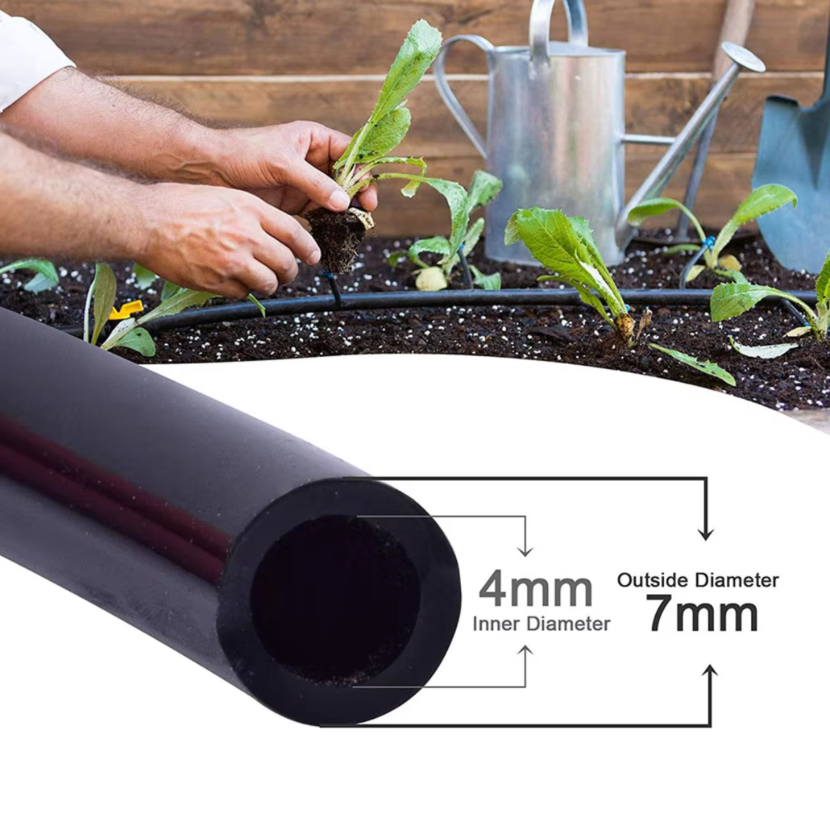 Greenhouse Bonsai Garden Water - Bonsai Garden Youtube review and price