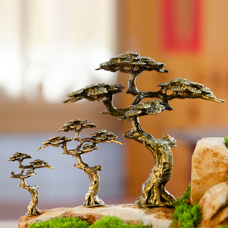 Mini Welcome Pine Miniature Fi - Bonsai Garden Ideas review and price