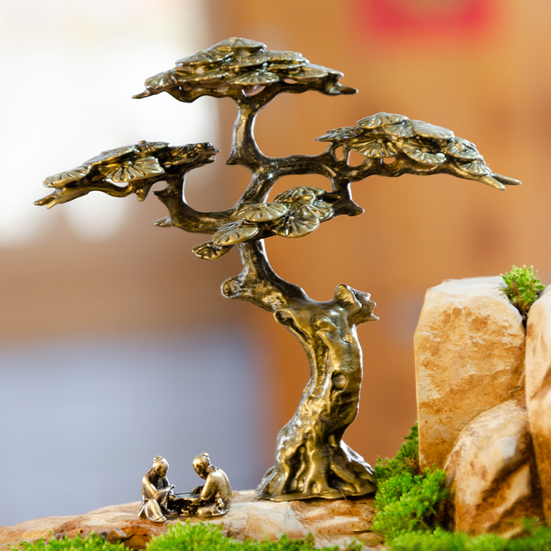 Mini Welcome Pine Miniature Fi - Bonsai Garden Ideas review and price