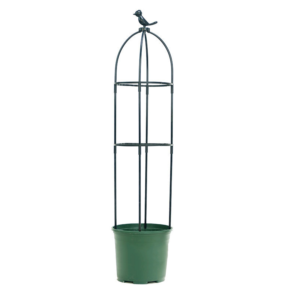 Plastic Rose Climbing Plant Tr - Bonsai Garden Ideas review and price