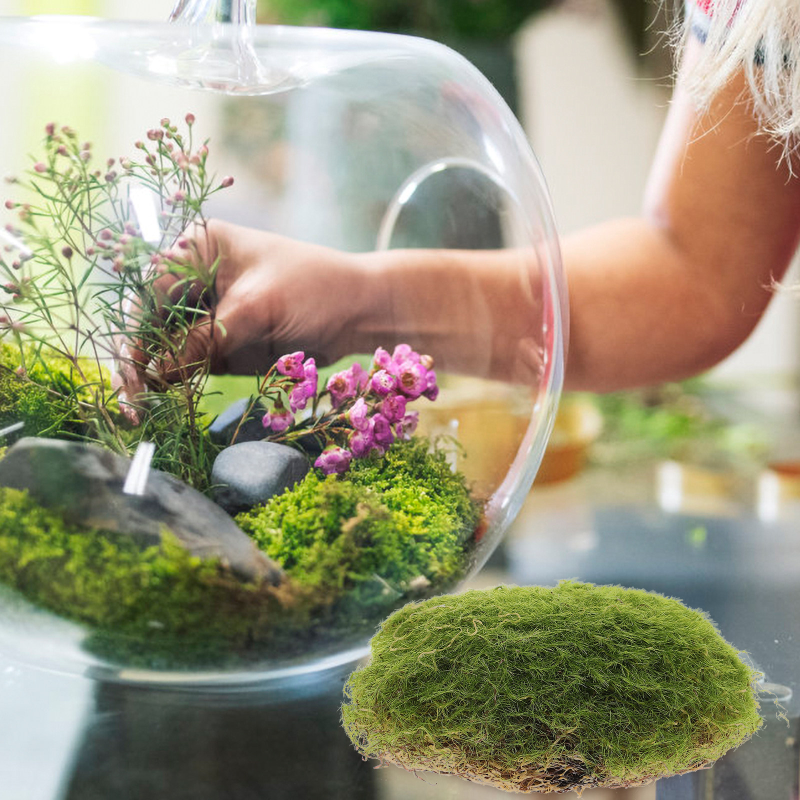 6Pcs Realistic Artificial Moss - Bonsai Garden Layout review and price