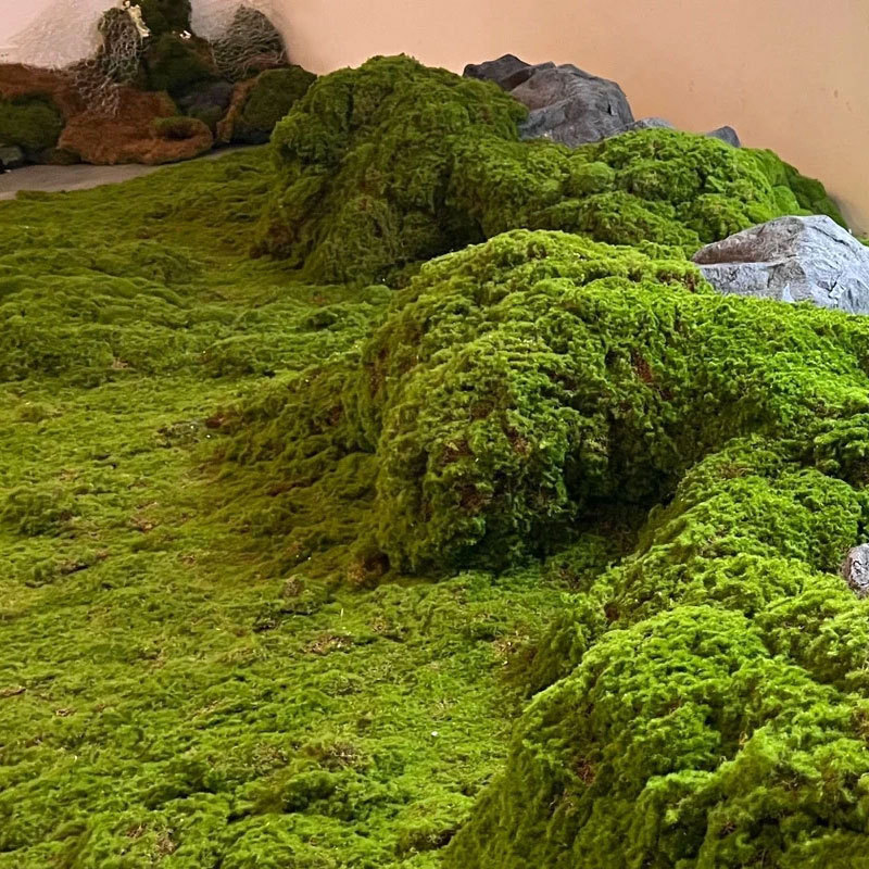 Artificial Moss Imitation Turf - Bonsai Garden Layout review and price