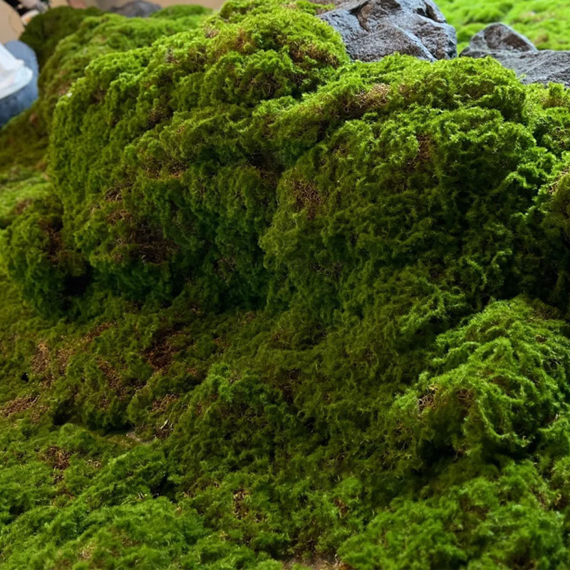 Artificial Moss Imitation Turf - Bonsai Garden Layout review and price