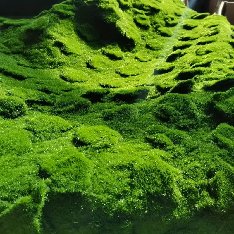 Artificial Moss Imitation Turf - Bonsai Garden Layout review and price