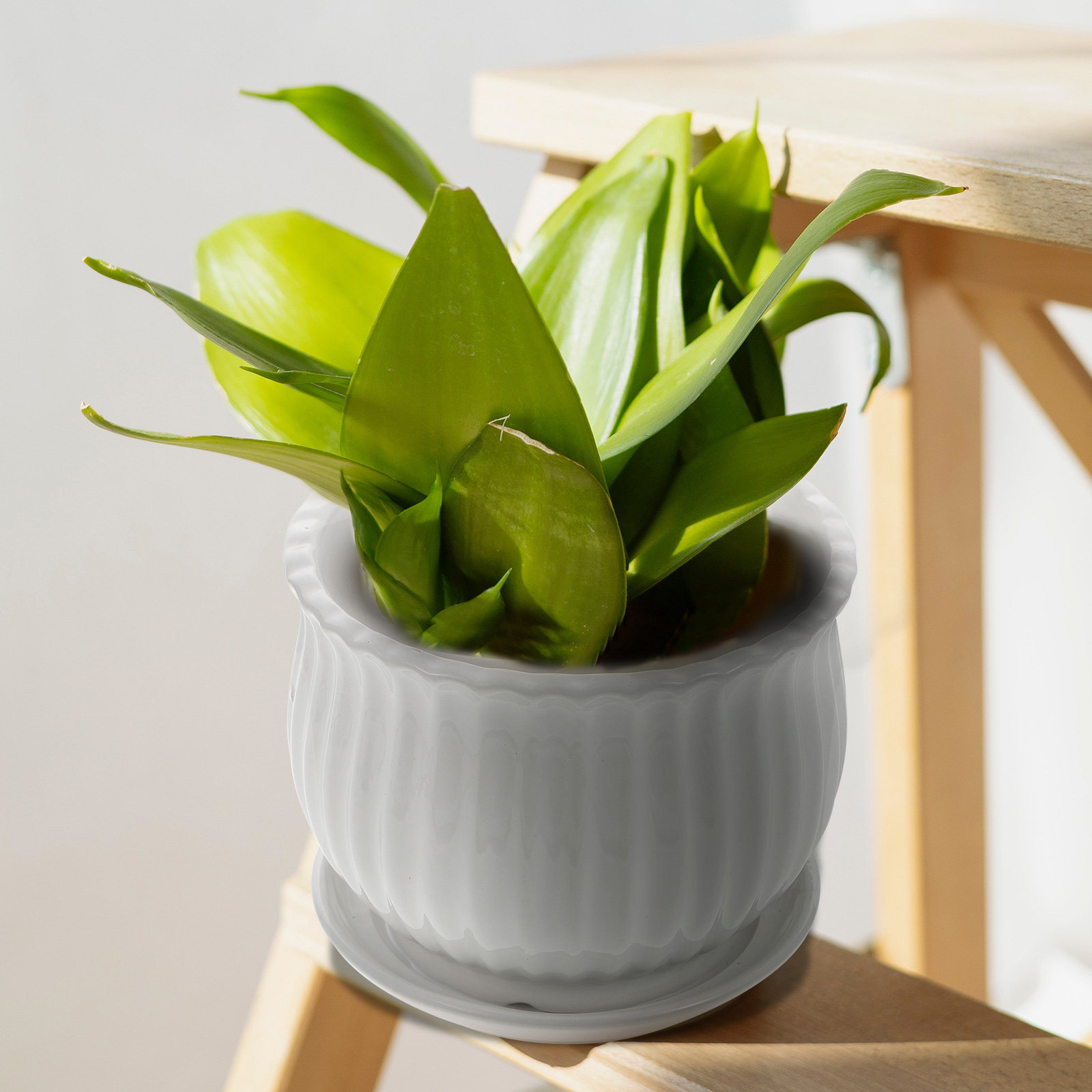 3Sets Ceramic Flower Pots Vert - Bonsai Vertical Garden review and price