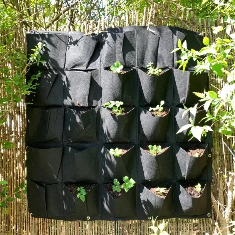 Wall Hanging Planting Bag Mult - Bonsai Vertical Garden review and price