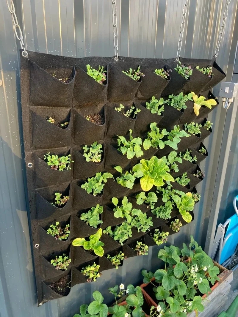 Wall Hanging Planting Bag Mult - Bonsai Vertical Garden review and price